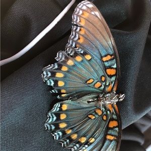 Meet your Posher, Madeline